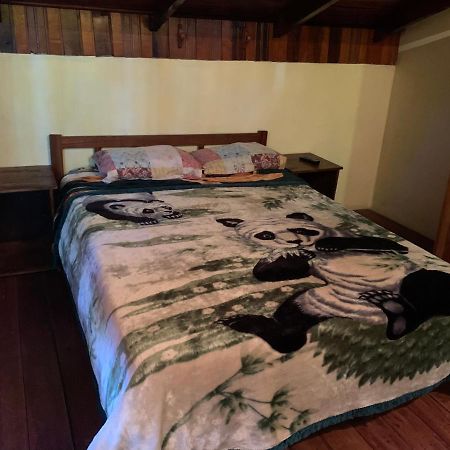 Litt Iguazu Hostal プエルト・イグアス エクステリア 写真