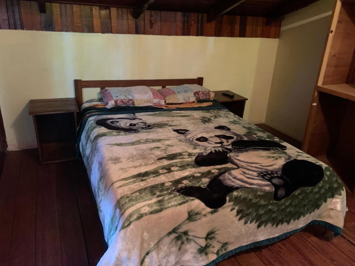 Litt Iguazu Hostal プエルト・イグアス エクステリア 写真